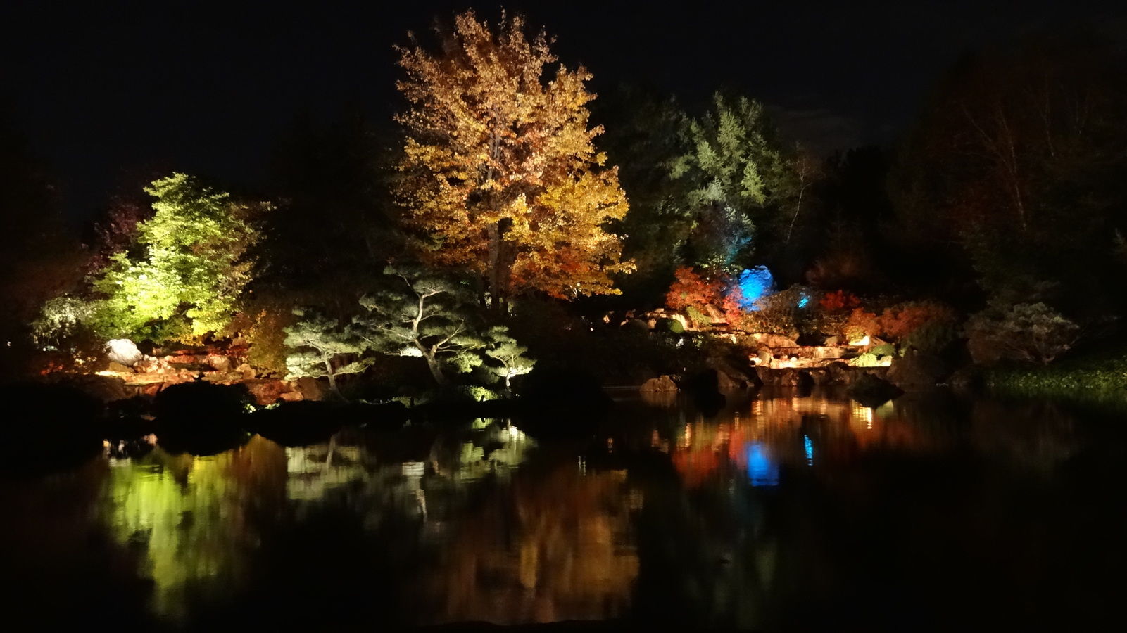 Jardin japonais, de nuit