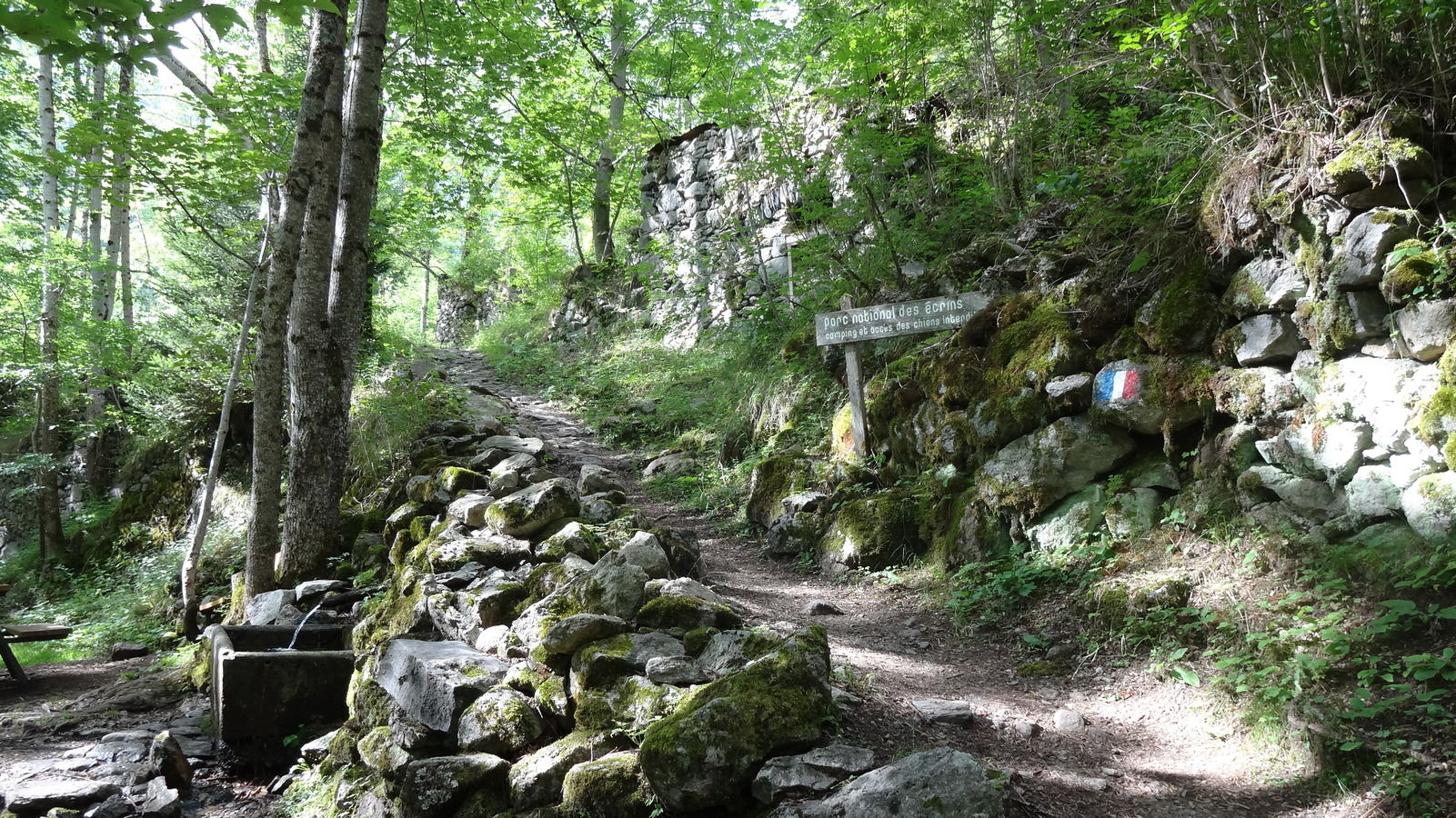 Le Pleynet (hameau ruiné)