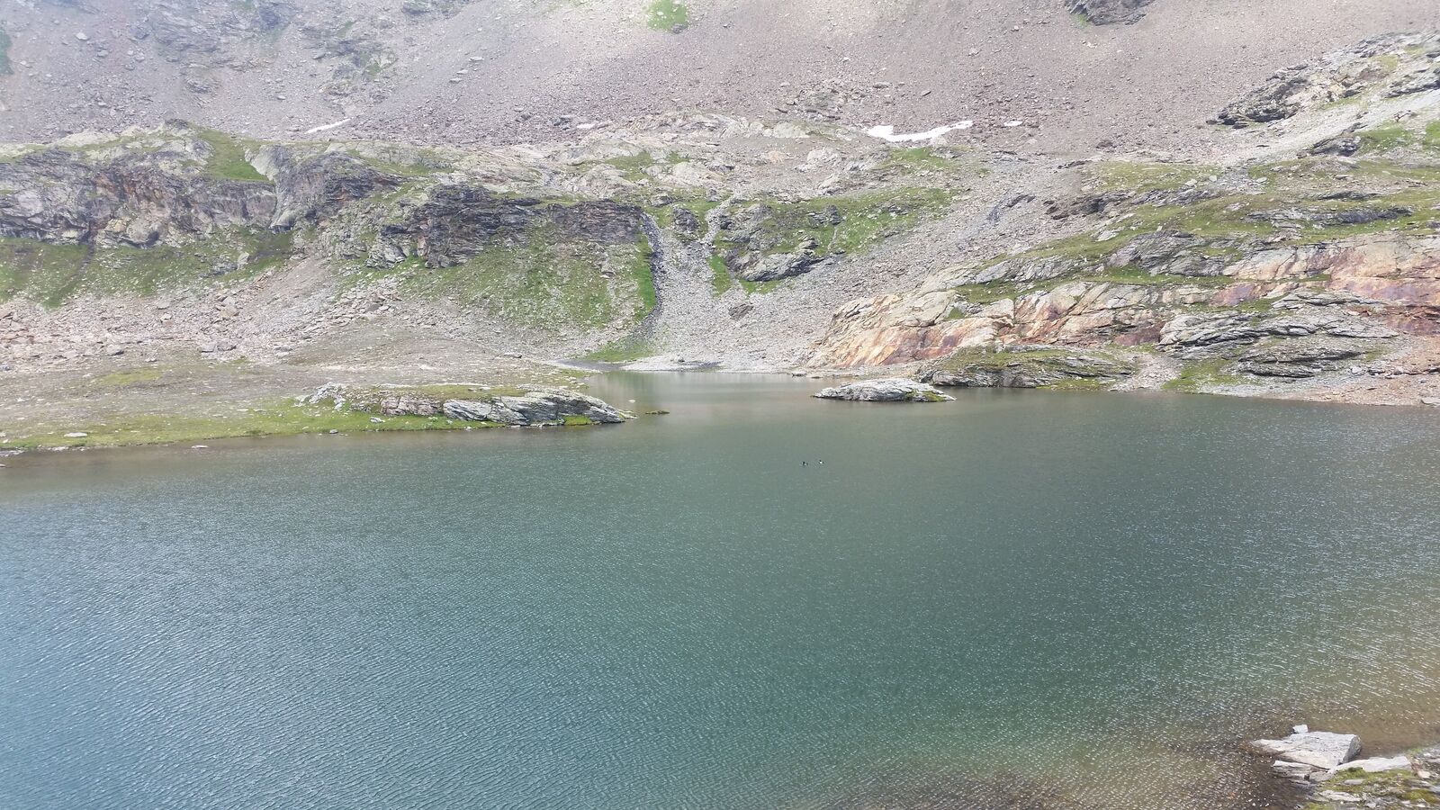 Canards sur le lac Verdet