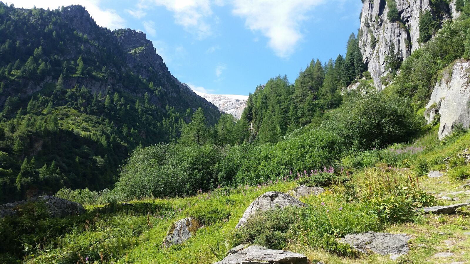 Vallon du Glacier des Grands