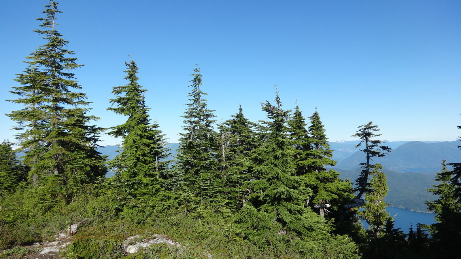 Mount Troutbridge (1300 m)