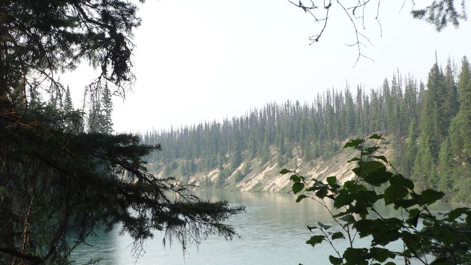 Cariboo River