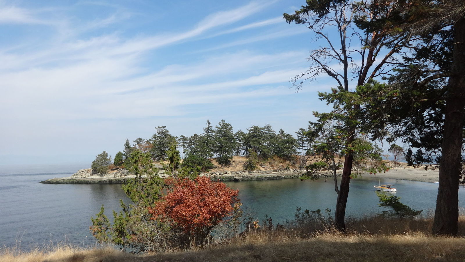 Coon Bay at Dionisio Point