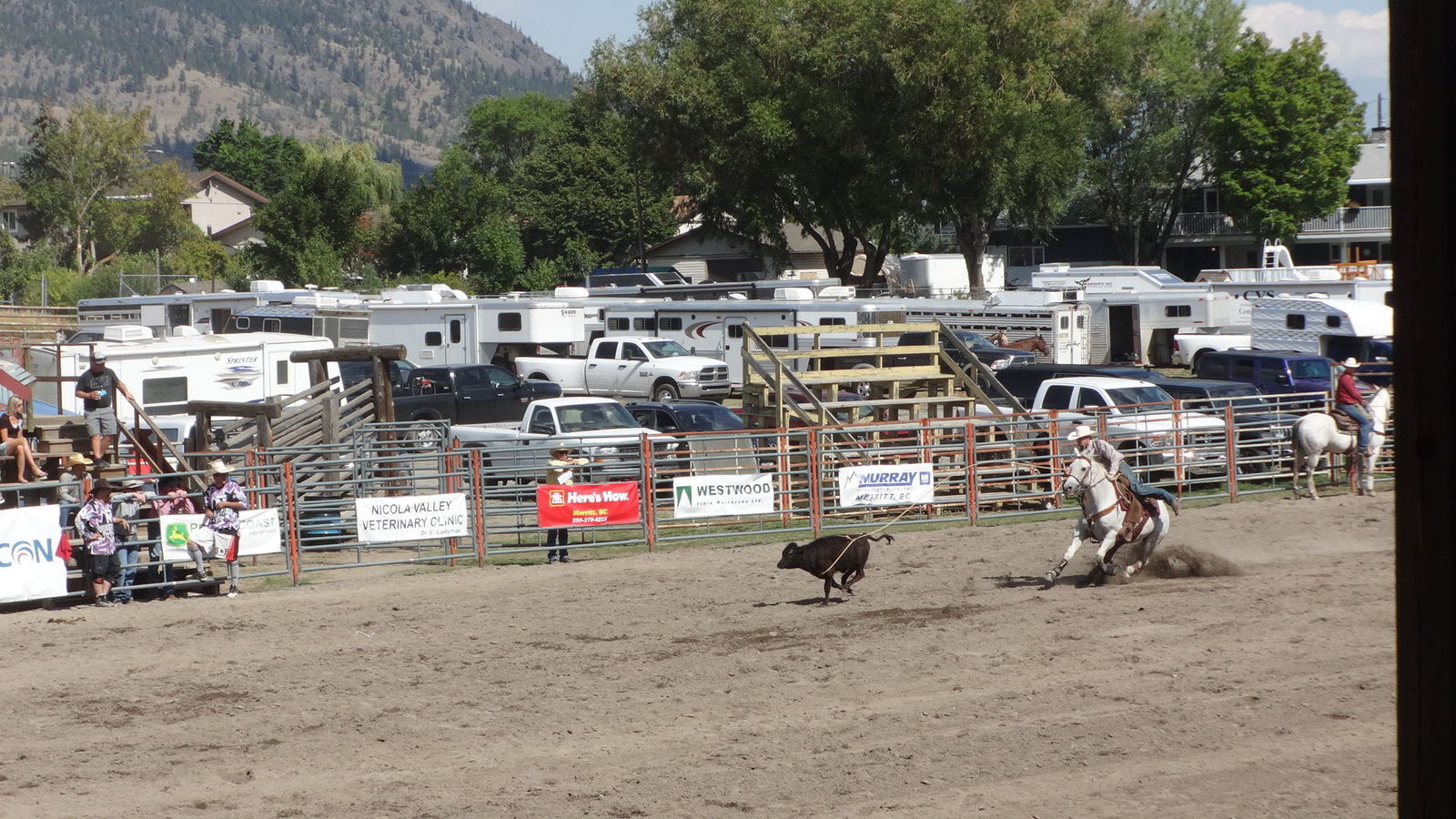 Tie-Down Roping event