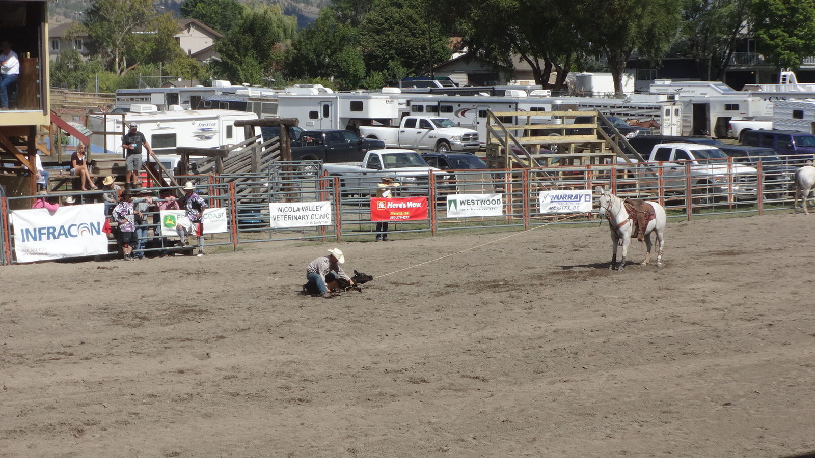 Tie-Down Roping event
