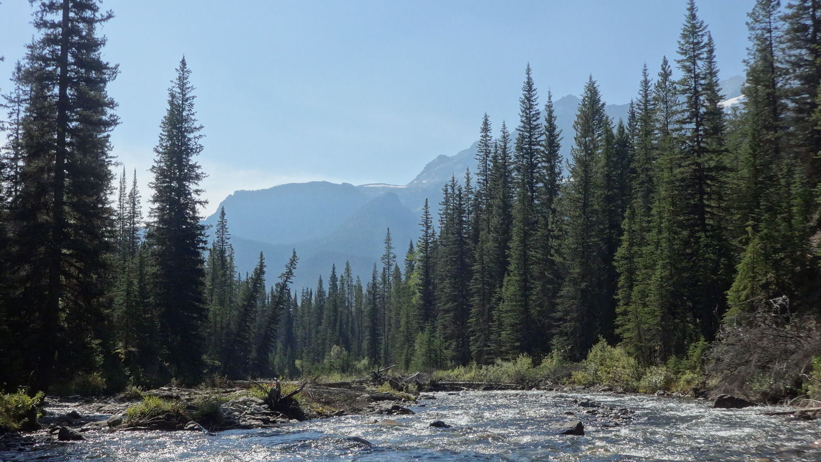 Palliser River