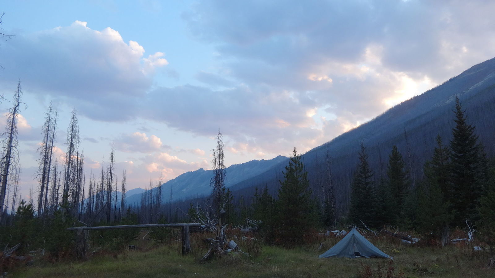 Horseback outfitter camp in White River Valley