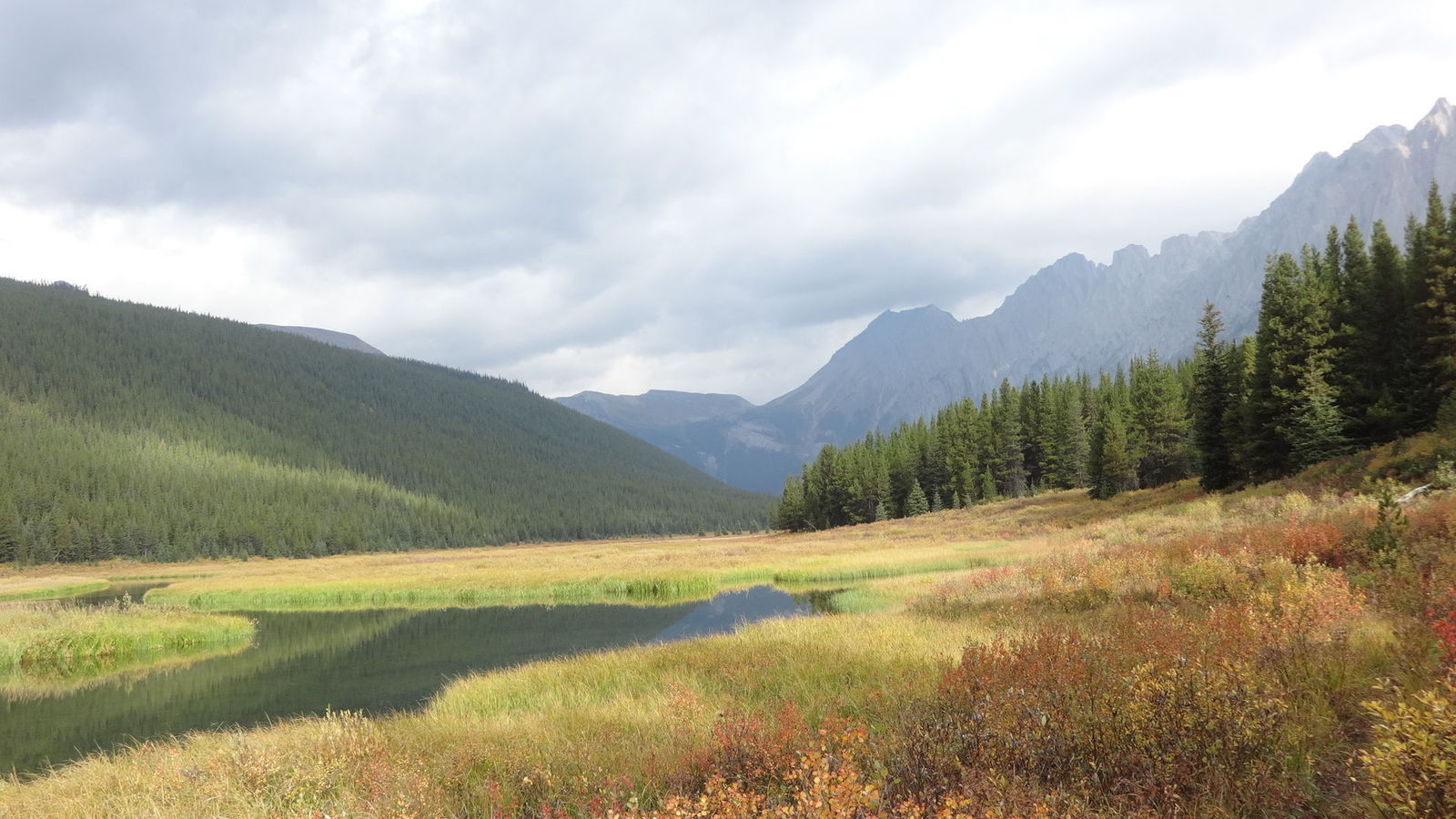 Cadorna Creek Valley