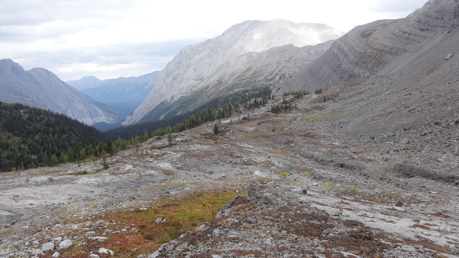 Nivelle Creek Valley