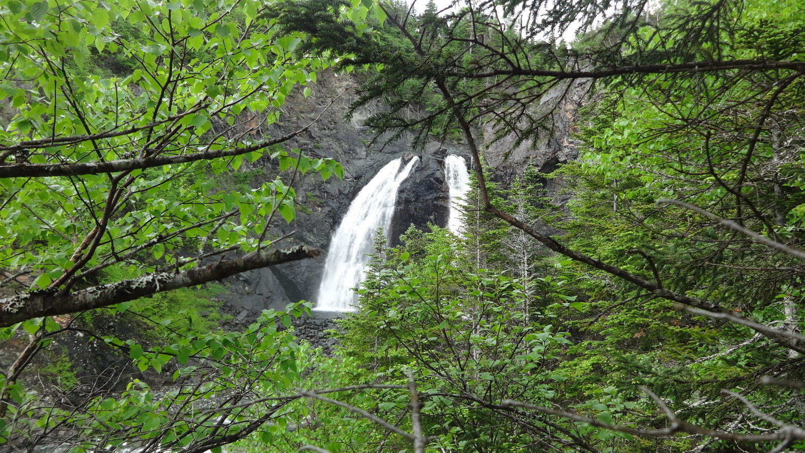 Waterfall on Simms Brook