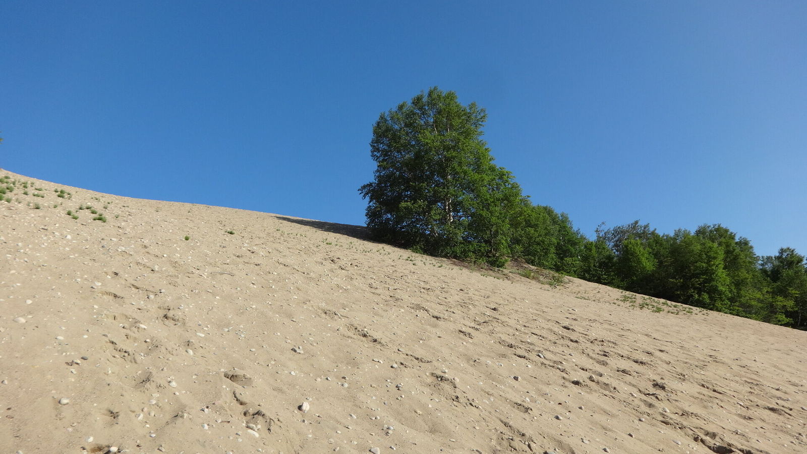 Dunes de sables de Tadoussac