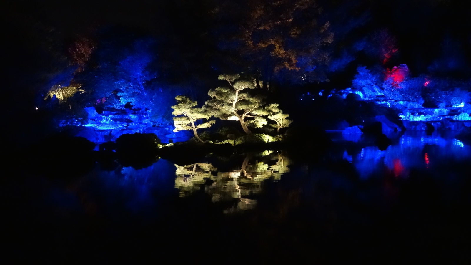 Jardin japonais, de nuit