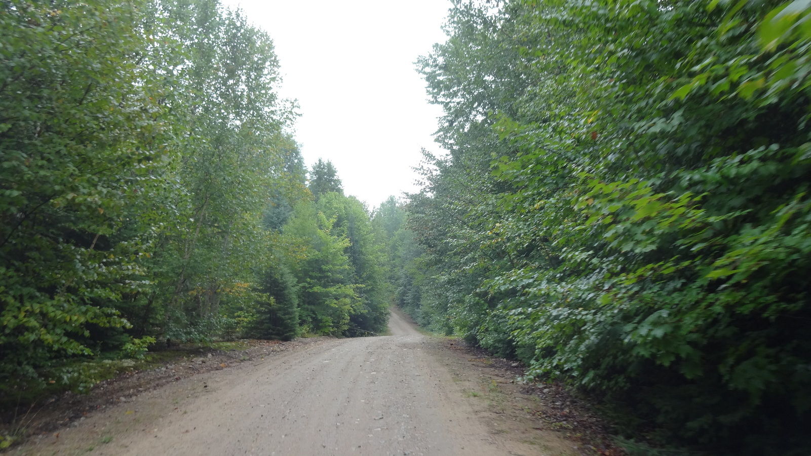 Route dans la réserve faunique de Papineau-Labelle