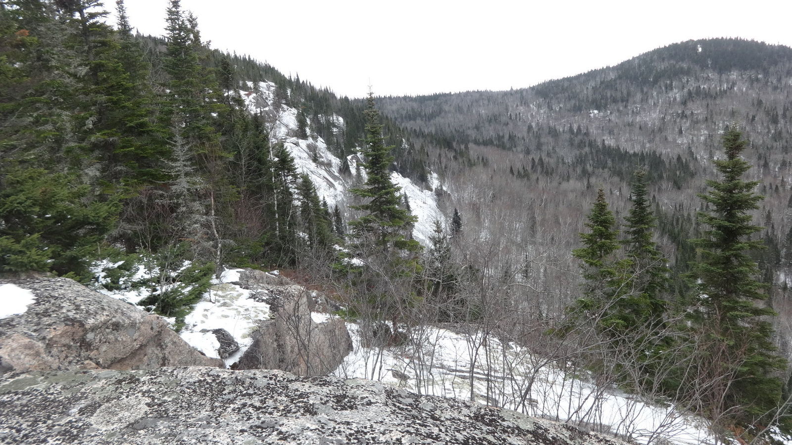 Flancs du mont Chauve                               
                               